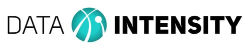 Data Intensity Logo 