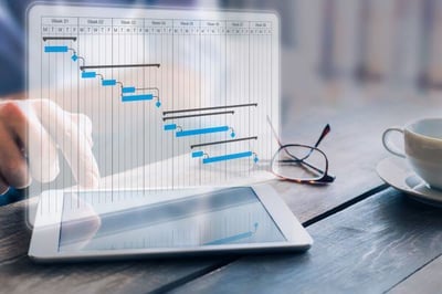 NetSuite Project Plan-min